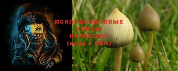 наркотики Алексин